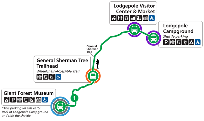 A map that shows shuttle Route 1 in the Giant Forest area of Sequoia National Park. Route 1, indicated with a green line, serves Giant Forest Museum, General Sherman Tree Trailhead, and Lodgepole Visitor Center, Market, and Campground.