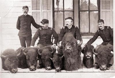 protecting bison_slaughter Men standing with severed bison heads, black and white photo